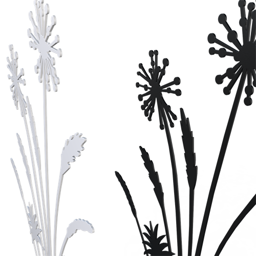 Pampas grass detailed picture