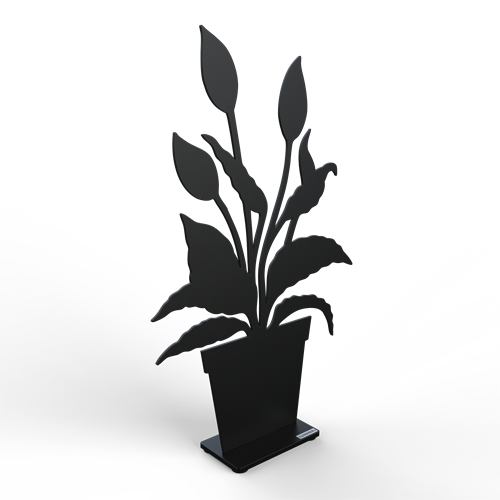 Peace lily black