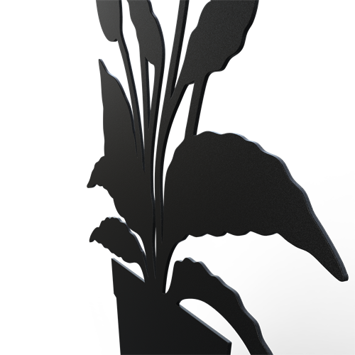 Peace lily black detailed