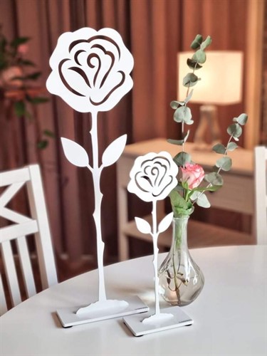 Rose white in different sizes