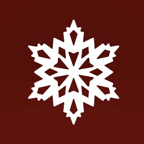 Froststärna vit 30 cm