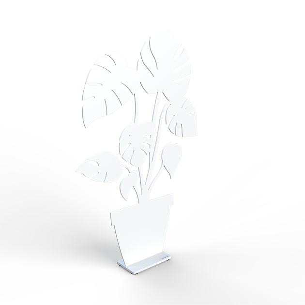 Monstera
