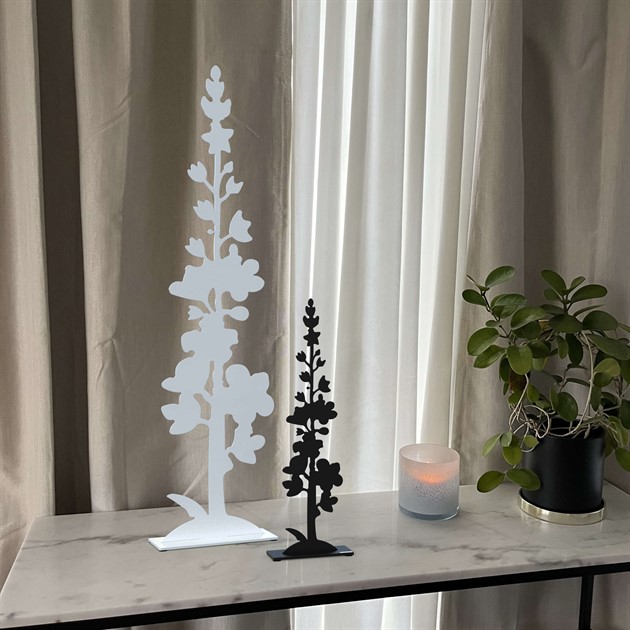 Great mullein 50 cm white